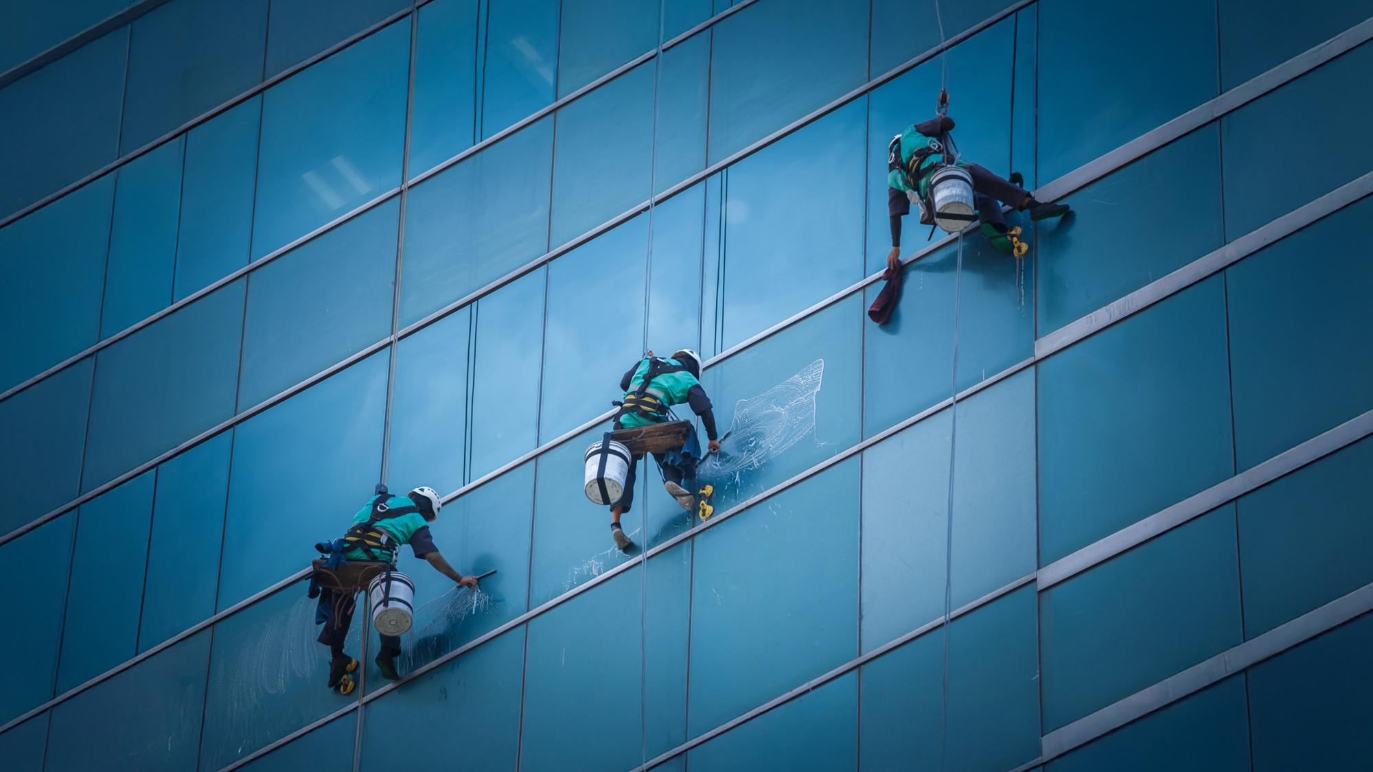 Three window cleaners in harnesses are abseiling down the glass exterior of a high-rise building, cleaning the windows as they descend.